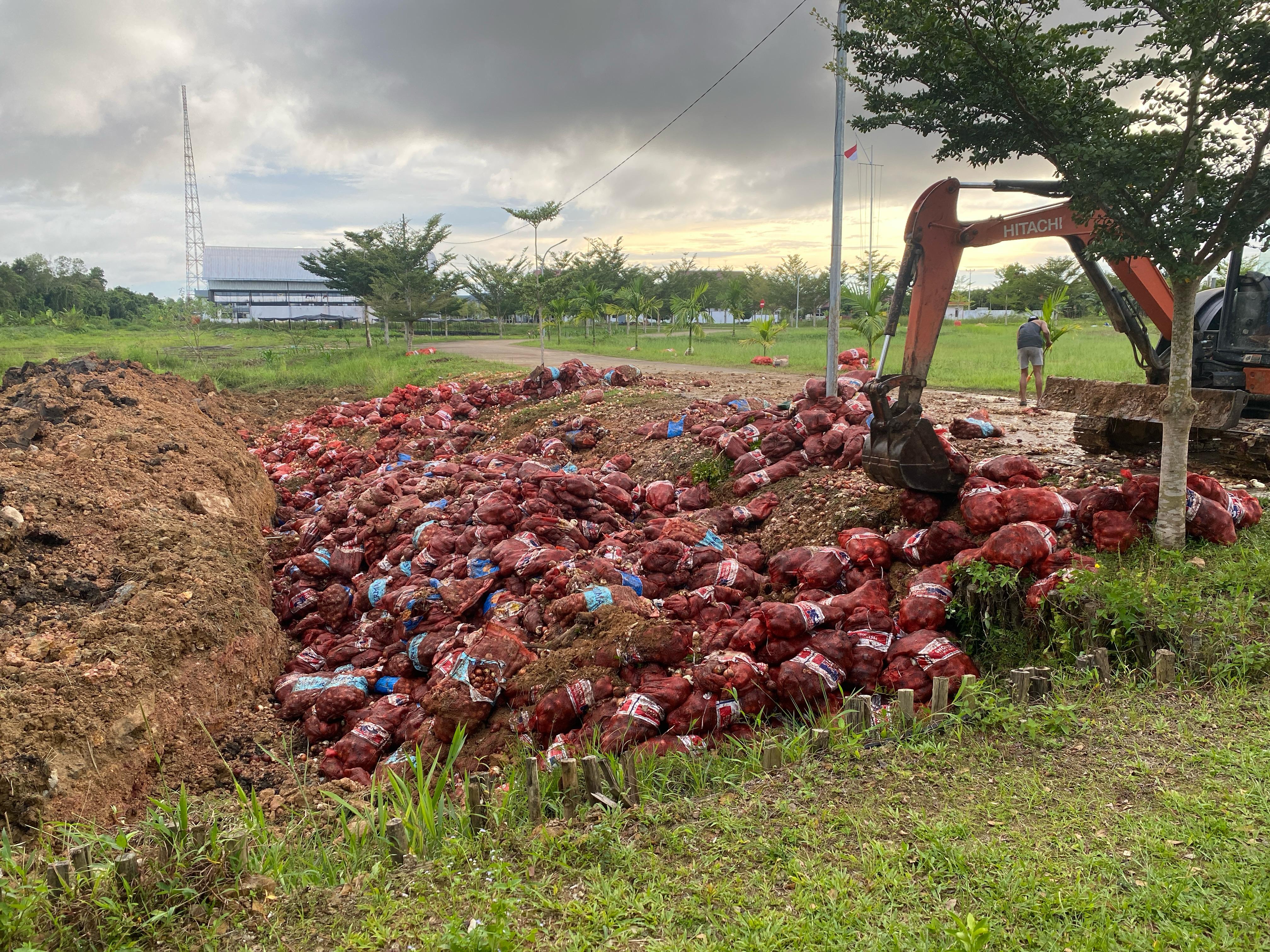 Foto: Bea Cukai dan TNI AL di Kalbar Musnahkan 47 Ton Bawang Bombai Ilegal | Pifa Net