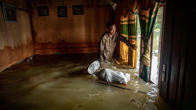Foto: BNPB: 5 Desa di Sayung Demak Masih Terendam, Perbaikan Dua Tanggul Terkendala Debit Air Tinggi | Pifa Net