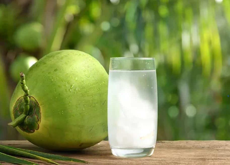 Foto: IDAI: Belum Ada Bukti Ilmiah Air Kelapa Kurangi Gatal Akibat Cacar Air | Pifa Net