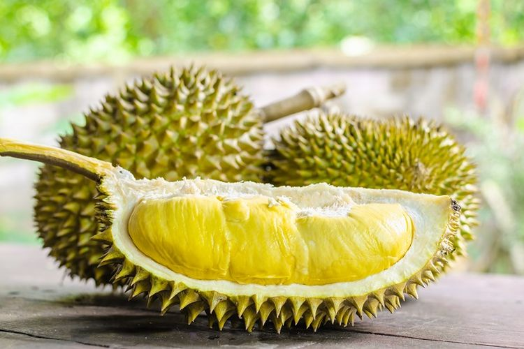 Ilustrasi Durian Sukadana, Foto: Kompascom