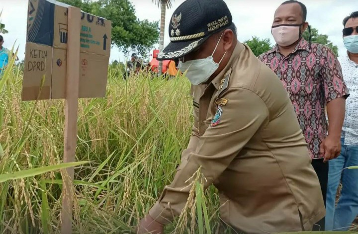 Foto: Prokopim Pemkab Mempawah