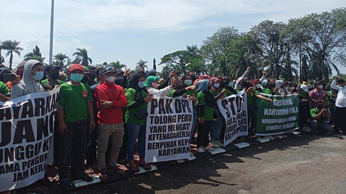 Foto: Karyawan PT KKJ Melakukan Aksi Unjuk Rasa di Kantor Bupati Mempawah | Pifa Net