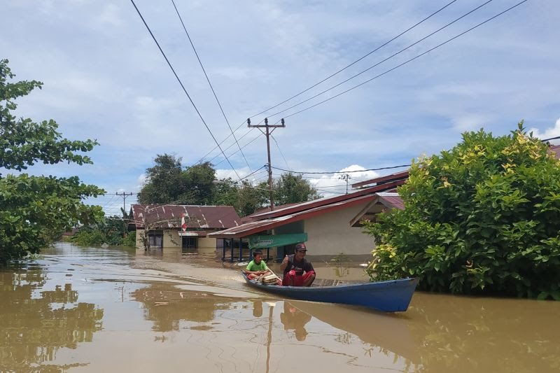 Foto: BPBD Kapuas Hullu: Banjir Rendam 10.596 Rumah Sudah Mulai Surut Namun Tetap Waspada  | Pifa Net