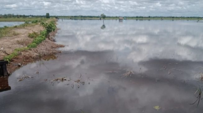 Foto: Suara Kalbar