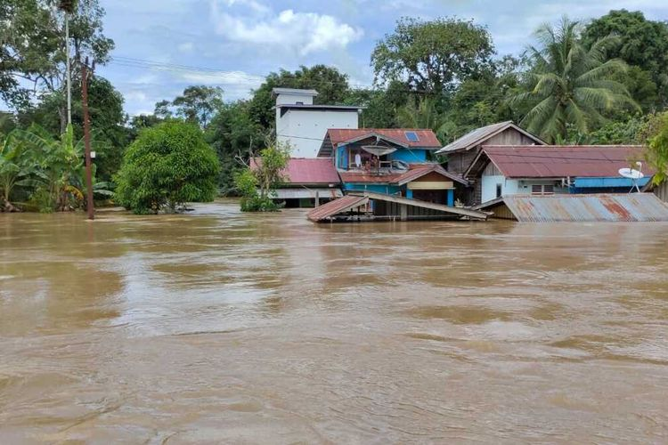 Foto: Banjir Berlangsung Belasan Hari, Rendam 12 Kecamatan & 24.522 KK Terdampak di Kabupaten Sintang  | Pifa Net