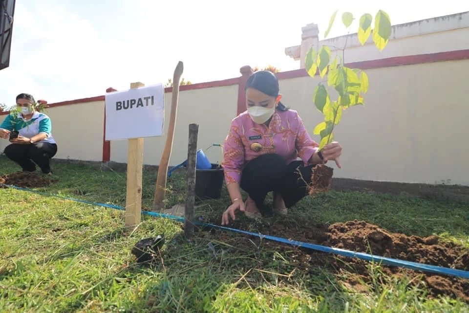 Foto: Peringati HUT 65 Pemprov Kalbar, Bupati Landak Lakukan Tanam Sejuta Pohon | Pifa Net
