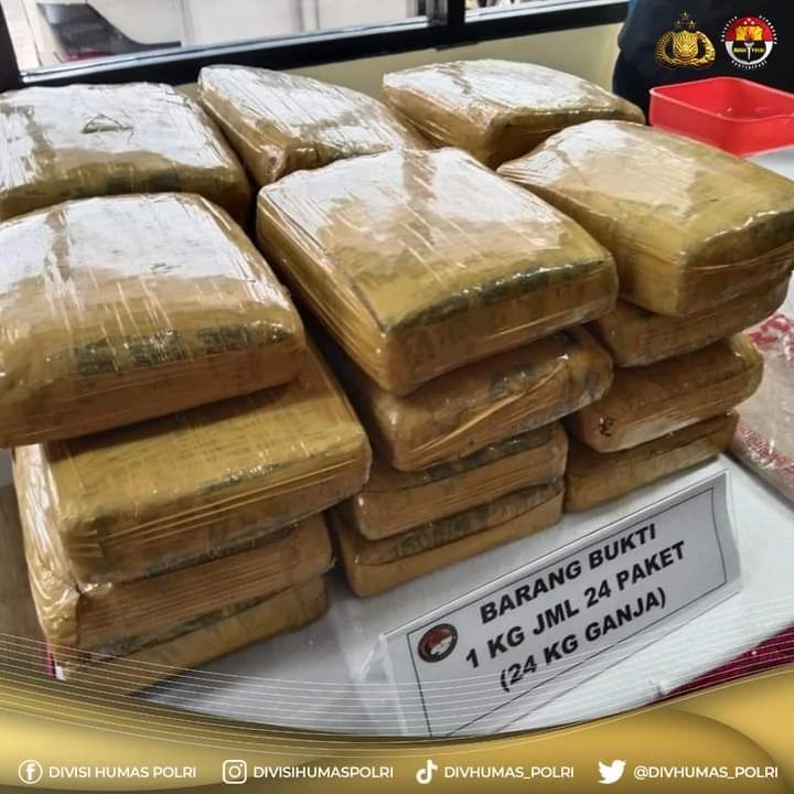 Foto: Polri Gagalkan Peredaran 31 Kilogram Narkoba Jenis Ganja | Pifa Net