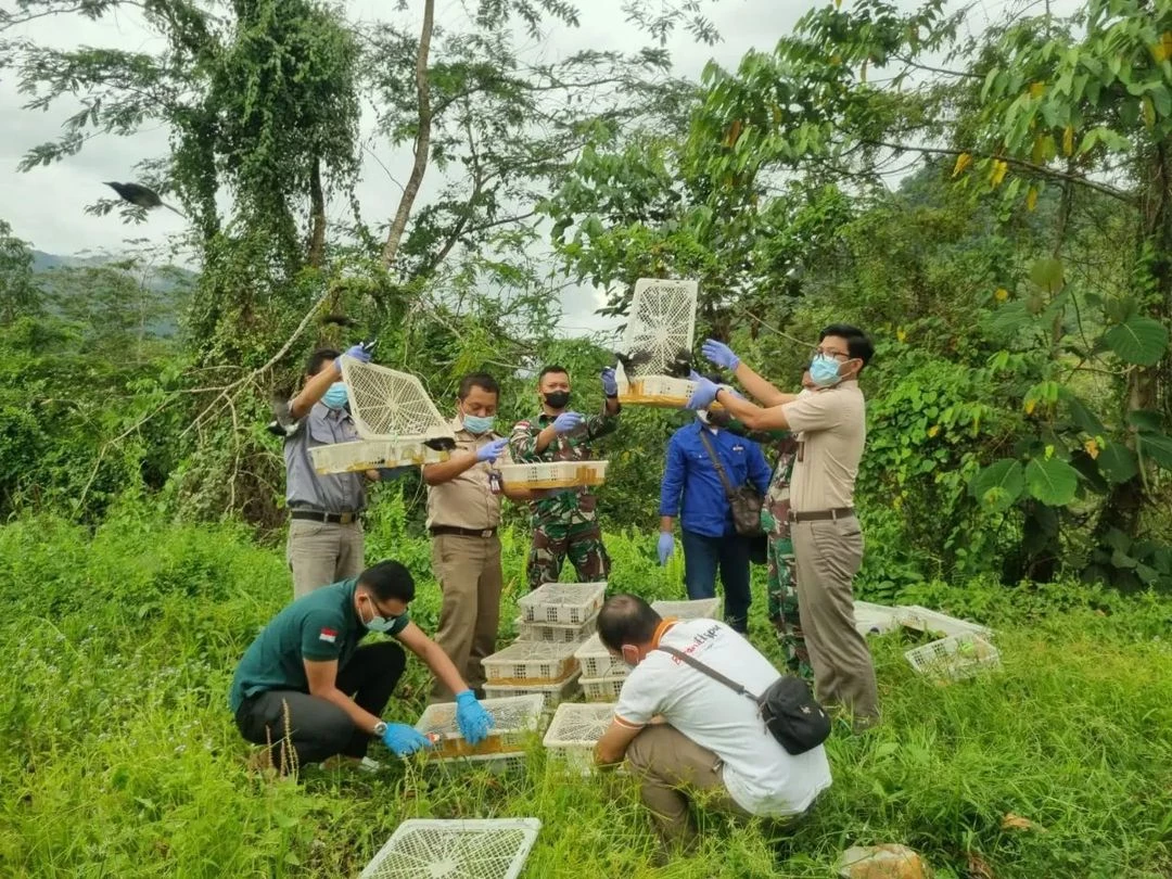 Foto: Satgas Pamtas TNI di Entikong Gagalkan Penyeludupan Ratusan Satwa Liar Ilegal | Pifa Net