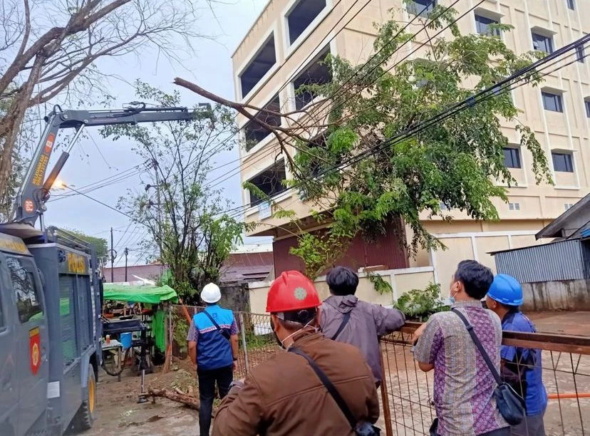 Foto: Patahan Dahan Pohon Timpa Kabel Listrik di Jalan Imam Bonjol | Pifa Net