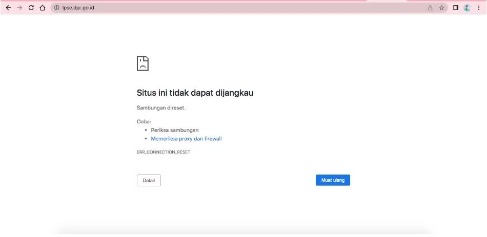 Foto: Tangkapan Layar Situs LPSE DPRI RI