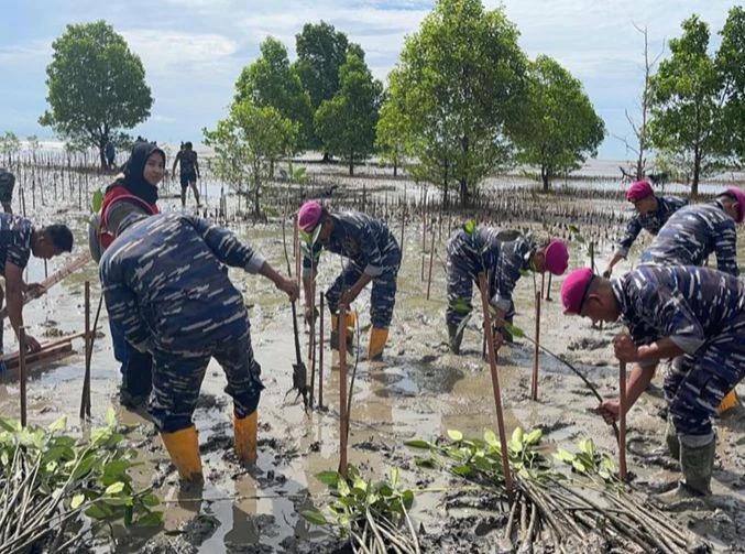 Foto: Gerakan Menanam Mangrove, Prajurit Yonmarhanlan XII Pontianak Bermain Lumpur | Pifa Net