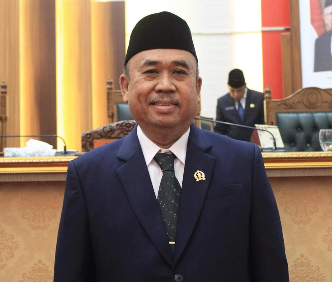 Wakil Ketua DPRD Kalbar, Suriansyah. Foto: Istimewa