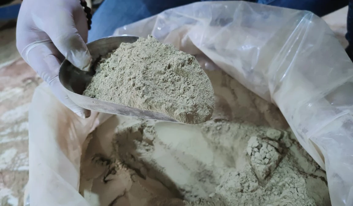 Foto: 20 Juta Pohon di Kapuas Hulu, Kratom Perlu Tata Niaga | Pifa Net