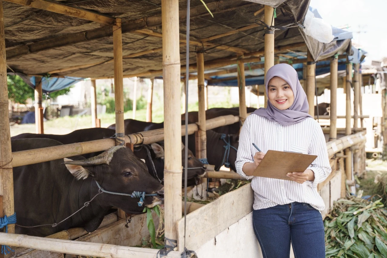 Foto: Sutarmidji: Pengendalian PMK di Kalbar Baik dan Cepat | Pifa Net