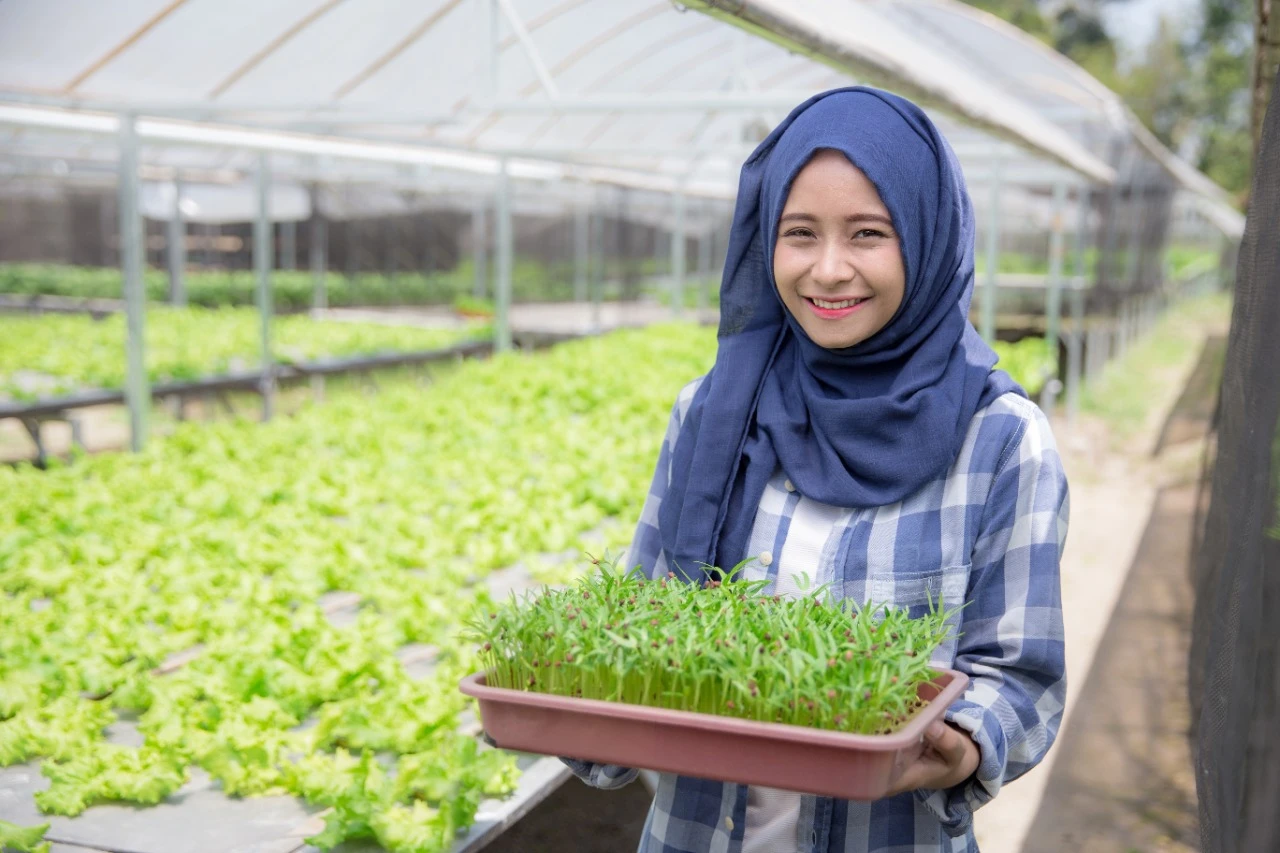 Foto: DPRD Kalbar Dukung Wacana Pengembangan Pertanian di Ponpes | Pifa Net