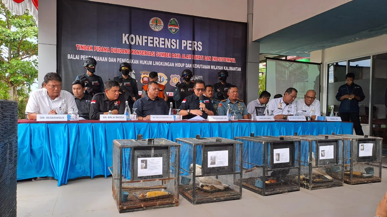 Foto: Penyelundupan Satwa Dilindungi Oleh Warga Negara Vietnam, Aparat Dalami Jaringan Internasional | Pifa Net