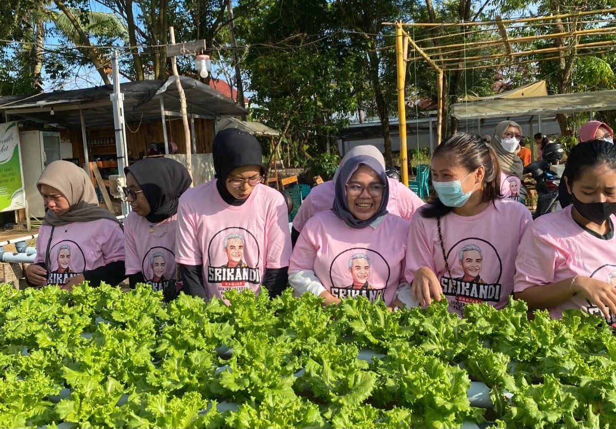 Foto: Hijaukan Bumi, Srikandi Ganjar Kalbar dan Hidroponti Gelar Pelatihan Budidaya Hidroponik | Pifa Net