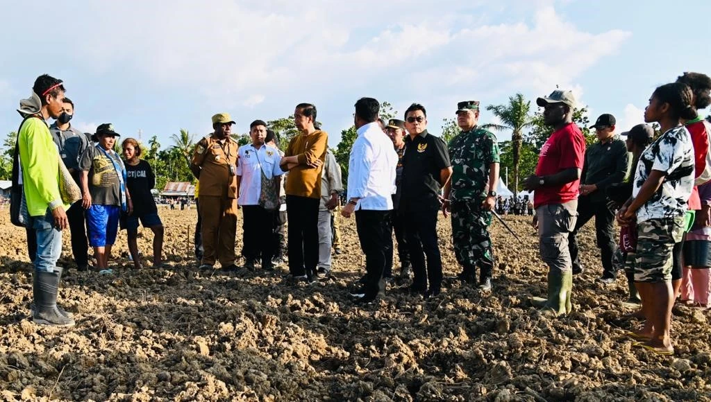 Foto: Mulai Food Estate di Papua, Presiden Siapkan 10 Ribu Ha Lahan Jagung | Pifa Net