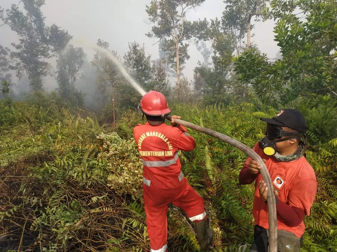 Foto: Karhutla Melanda Tiga Desa di Ketapang | Pifa Net