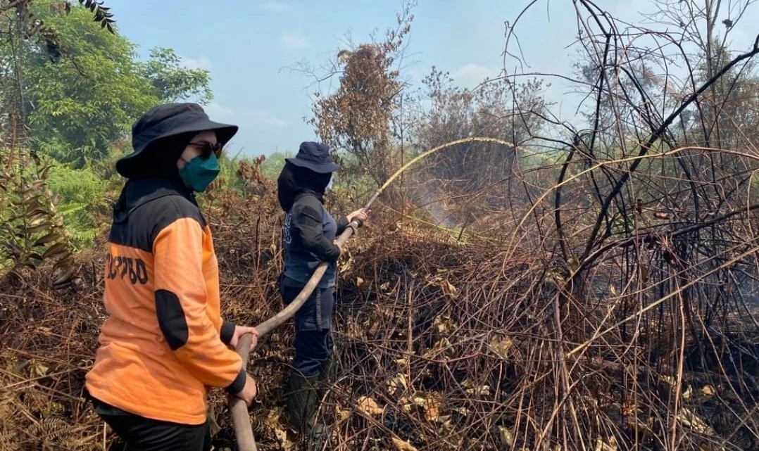 Kebakaran lahan di Kabupaten Ketapang meluas, terparah di Desa Sungai Besar Kecamatan Matan Hilir Selatan. (Dok. Istimewa)