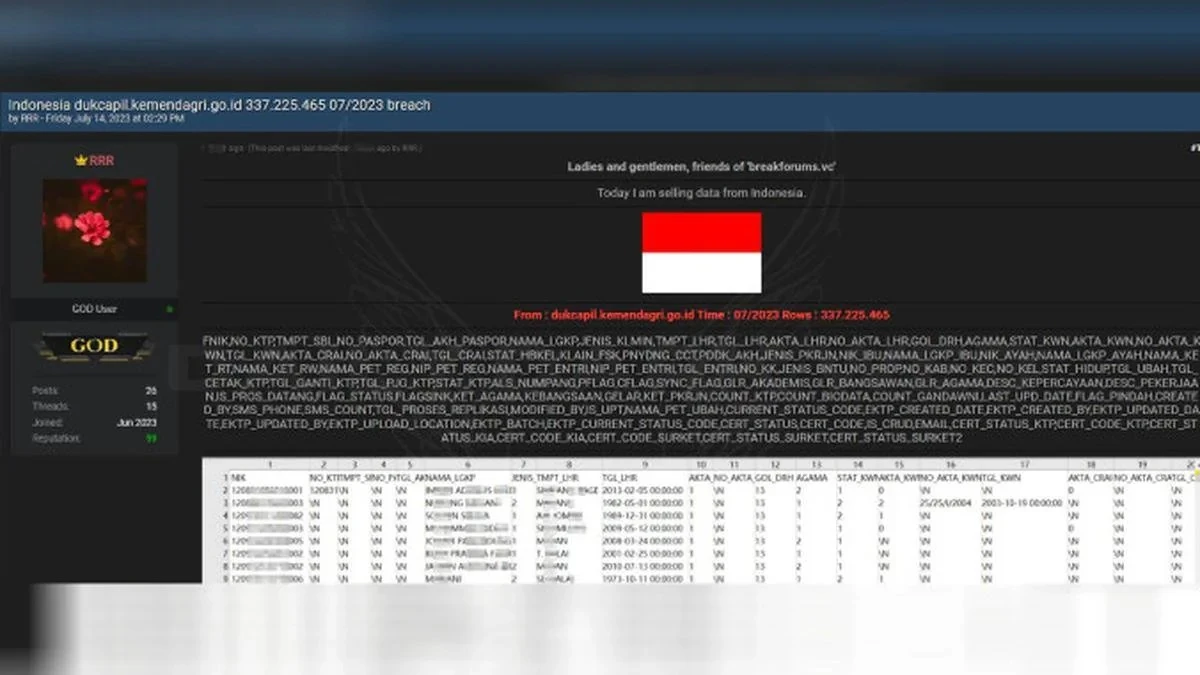 Pendiri Ethical Hacker Indonesia, Teguh Aprianto, mengungkap ada sebanyak 337 juta data Dukcapil Kemendagri bocor. (reddit.com)