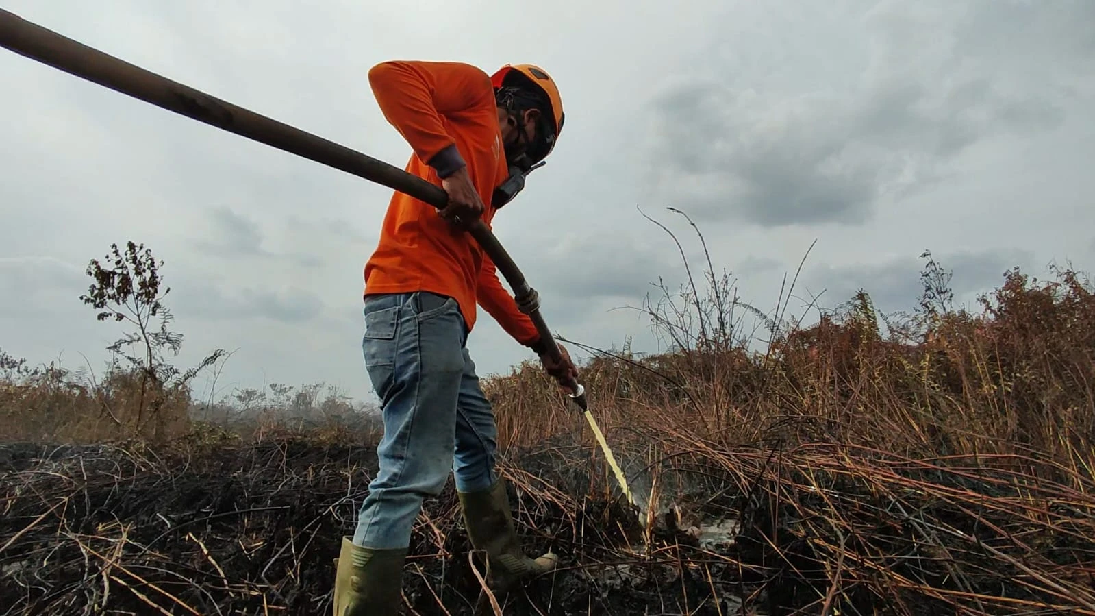 DPRD Kalbar meminta agar pemerintah gencar sosialisasikan aturan bakar hutan dan lahan. (Dok. Istimewa)