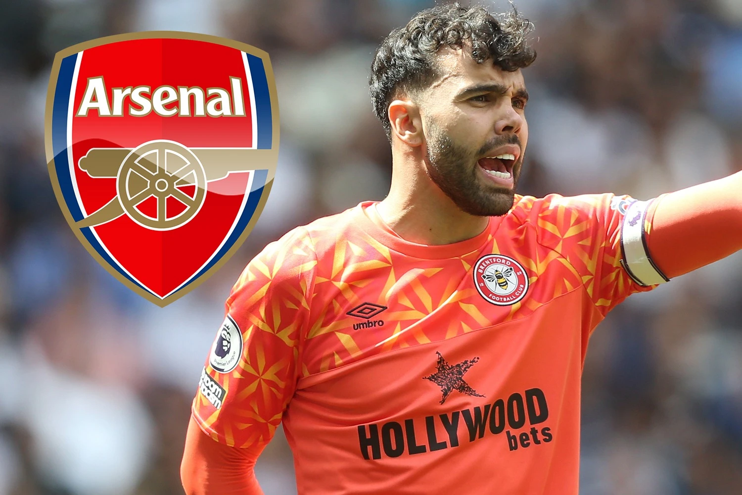 Foto: Arsenal Pinjam David Raya dari Brentford untuk Perkuat Lini Penjaga Gawang | Pifa Net