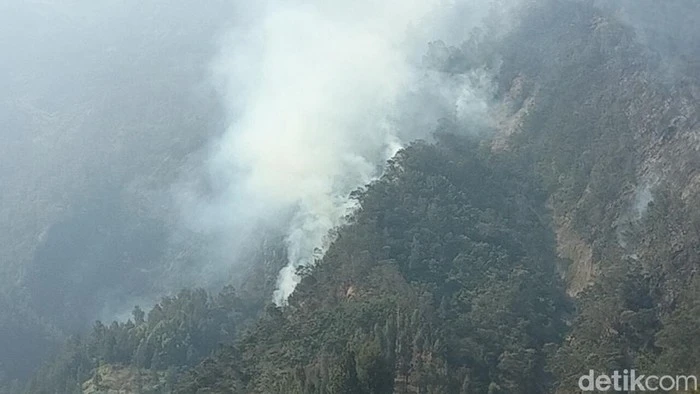 Foto: Bukit Teletubbies Bromo Terbakar Gegara Flare Prewedding | Pifa Net