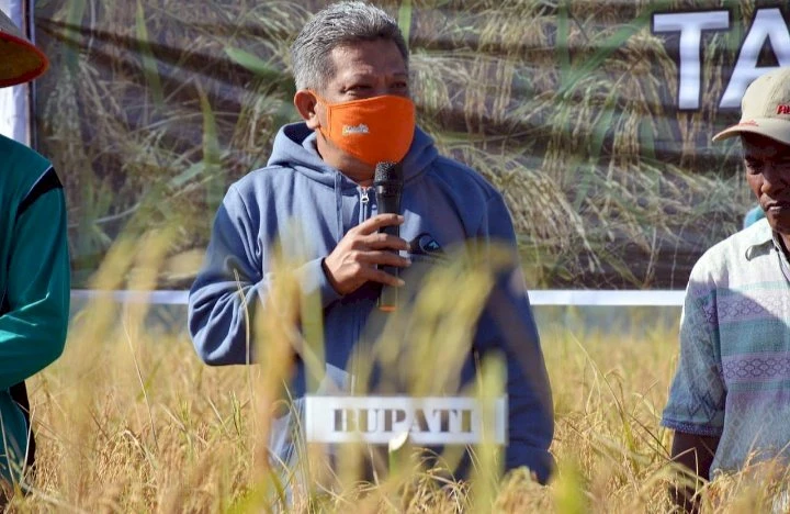 Foto: Muda Mahendrawan Komitmen Optimalkan Otonomi Daerah | Pifa Net