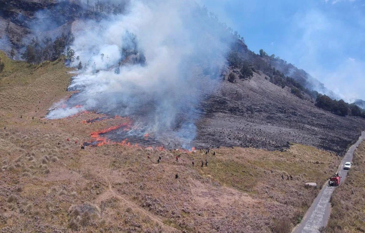 Foto: Kerugian Akibat Kebakaran Savana Bromo Capai Rp5,4 Miliar | Pifa Net