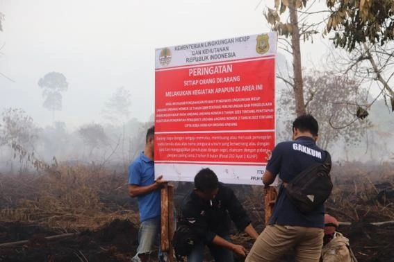 Penyegelan empat lahan perusahaan di Kalbar oleh Gakkum KLHK. (Dok. KLHK Kalbar)