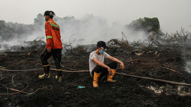 Foto: Hotspot Kalbar Melonjak 3 Kali Lipat, Pemerintah Kembali Fokus Tangani Karhutla | Pifa Net