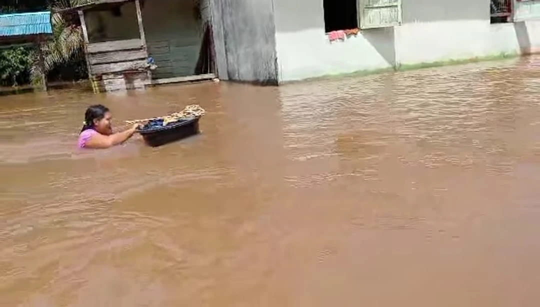 Foto: 13.558 Warga Terdampak Banjir Landak | Pifa Net