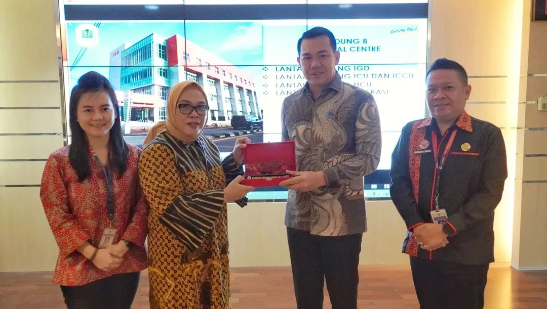 Foto: Wujudkan Kapuas Hulu Hebat dalam Layanan Kesehatan, Fransiskus Diaan Audiensi ke Direktur Pelayanan Kesehatan Rujukan Kemkes | Pifa Net