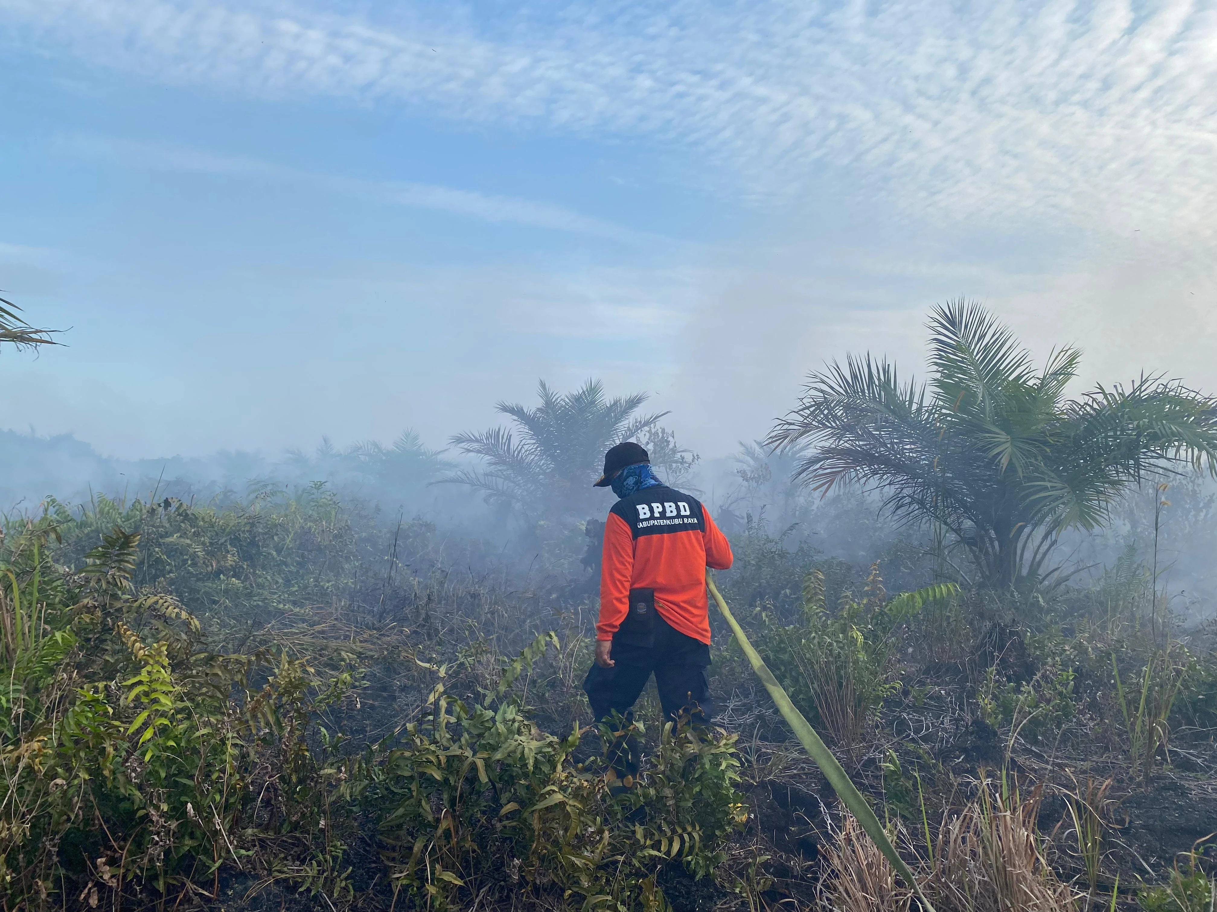 Foto: Waspada Karhutla, BMKG Deteksi 165 Titik Panas di Kalbar | Pifa Net