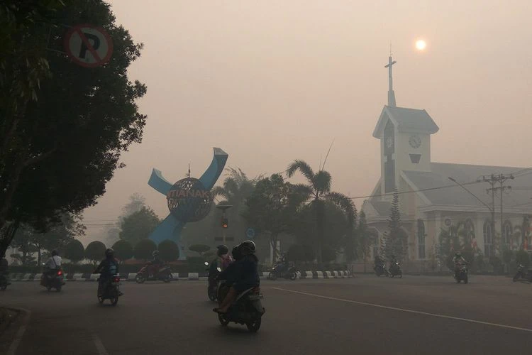 Foto: 5 Tips Menjaga Kesehatan Anak Ditengah Kabut Asap | Pifa Net
