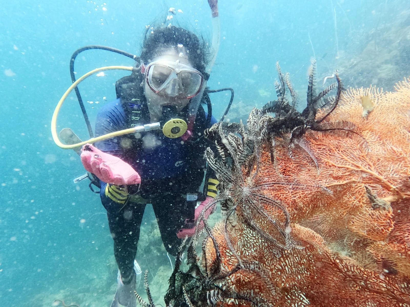 Foto: Mengenal Orca Diving Club, Komunitas Selam yang Peduli Dengan Lingkungan Laut | Pifa Net