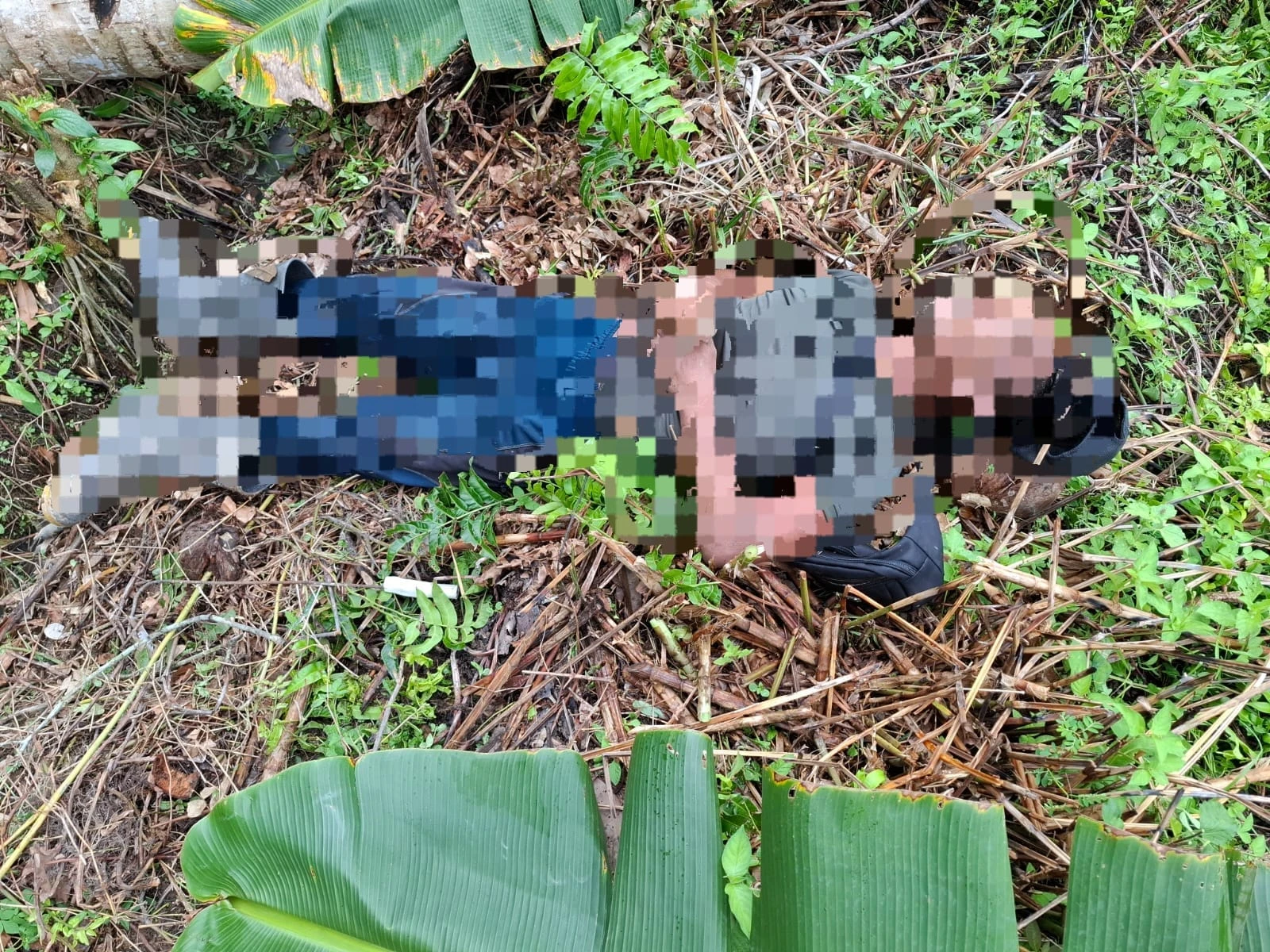 Foto: Warga Kubu Raya Digegerkan dengan Penemuan Mayat di Kebun | Pifa Net