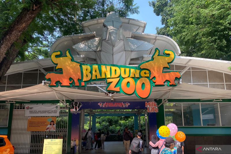 Arsip-Situasi area Kebun Binatang Bandung (Bandung Zoo) saat masih beroperasi di Kota Bandung, Jawa Barat. ANTARA/Rubby Jovan