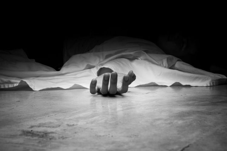 Foto: Warga Singkawang Geger, Mayat Pemuda Ditemukan di Kebun Alpukat | Pifa Net