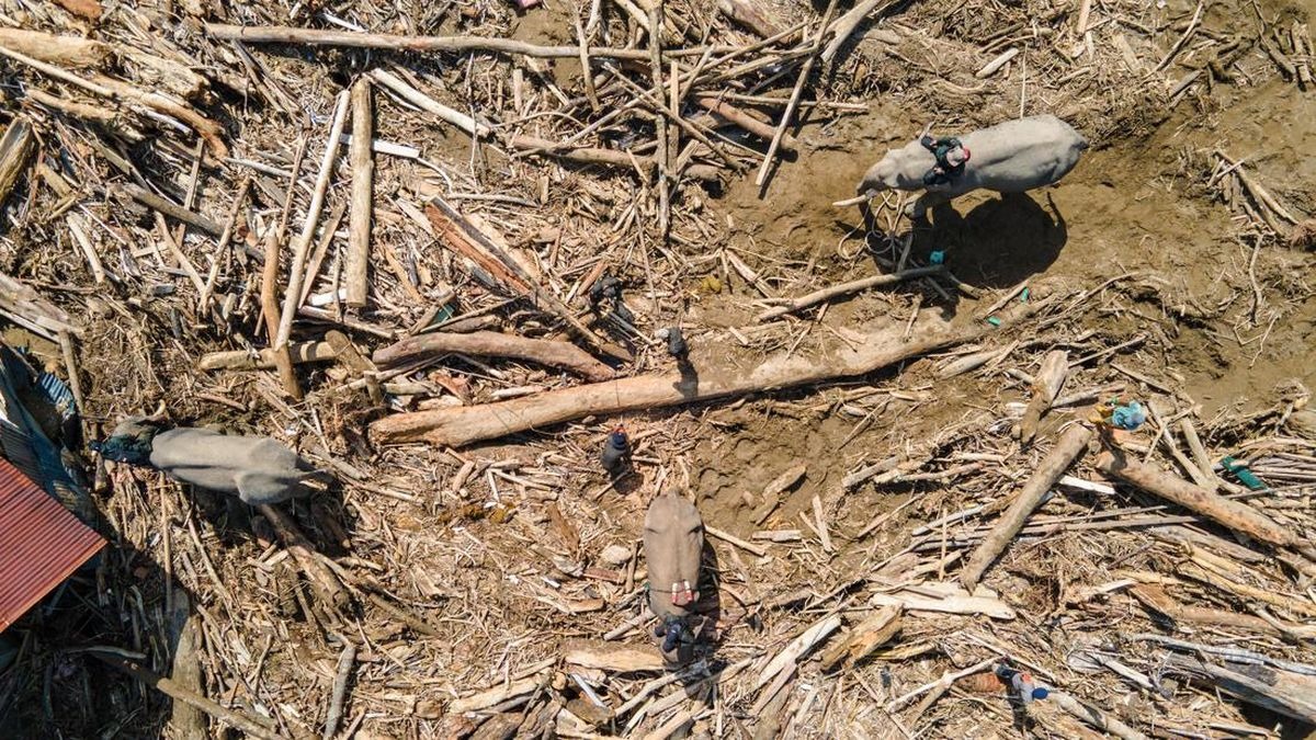 Foto: Hidayat Nur Wahid: Pemerintah Tak Perlu Tutup Pintu Bantuan Asing untuk Tangani Banjir dan Longsor di Sumatra | Pifa Net