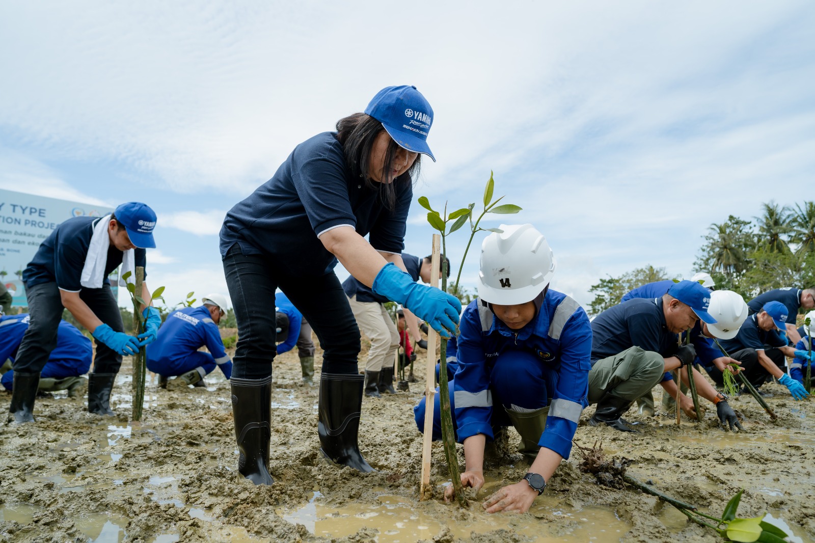 Foto: Tunjukan Komitmen Terhadap Kelestarian Lingkungan, Yamaha Motor Group Kembali Tanam Ratusan Ribu Mangrove di Indonesia | Pifa Net