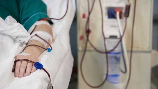 Foto: Apakah Gagal Ginjal Bisa Sembuh dengan Cuci Darah? Ini Penjelasan Medisnya | Pifa Net