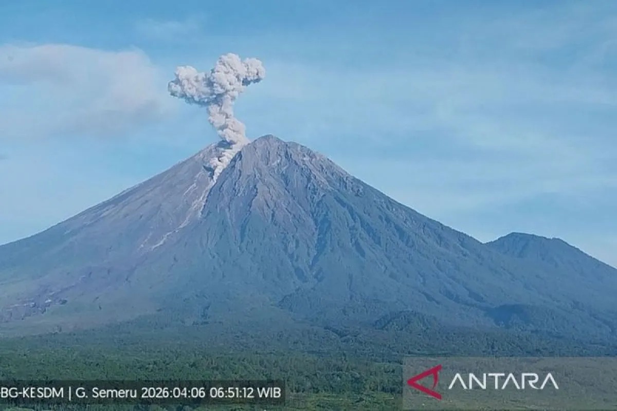 Foto: Gunung Semeru Erupsi 7 Kali Senin Pagi, Letusan Tertinggi Capai 1.100 Meter | Pifa Net