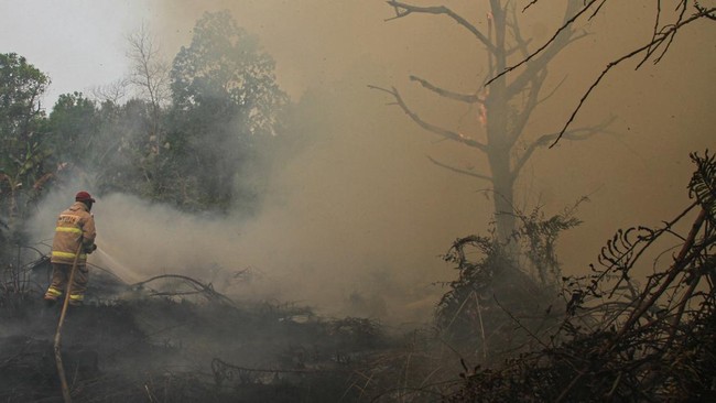Foto: Bocah 11 Tahun Meninggal Usai Sesak Napas di Tengah Kabut Asap Puruk Cahu | Pifa Net