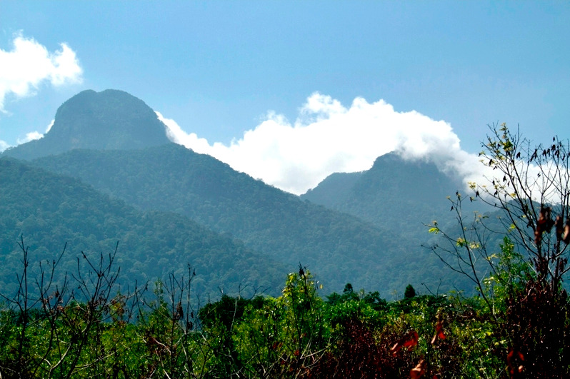 Foto: Gunung Bawang: Surga Tropis yang Tersembunyi di Kalimantan Barat | Pifa Net