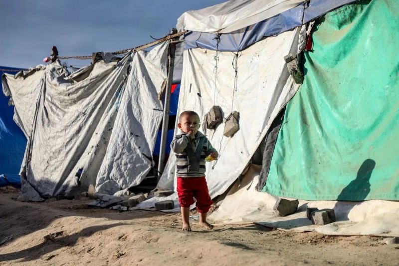 Foto: CSIS: Indonesia Harus Punya Peran Lebih Besar di Dewan Perdamaian untuk Dorong Solusi Dua Negara | Pifa Net