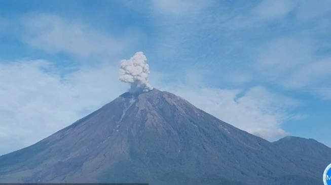 Foto: Aktivitas Semeru Kembali Meningkat, Dua Kali Erupsi Warnai Kamis Pagi | Pifa Net