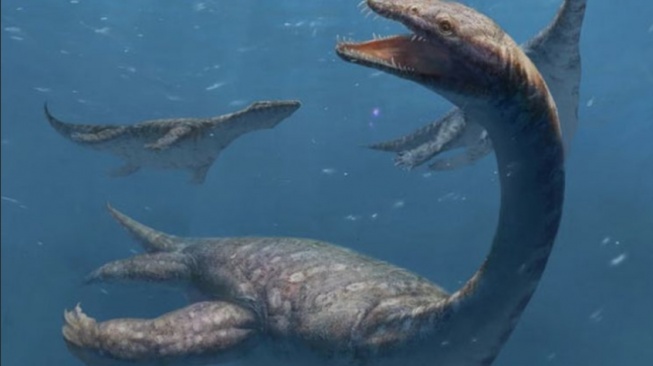 Foto: Ilmuwan Temukan Fosil Reptil Laut Berleher Panjang Berusia 247 Juta Tahun di China | Pifa Net