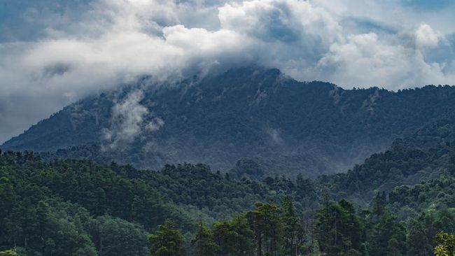 Foto: Pendakian Gunung Gede Pangrango Resmi Dibuka Kembali, Pendaki Wajib Daftar Online | Pifa Net